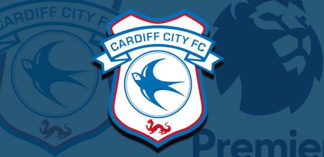 Кардифф, Сол Бамба