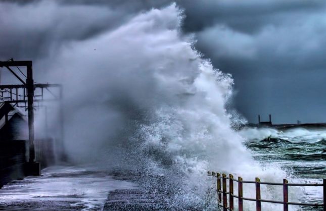 Чемпионат Нидерландов