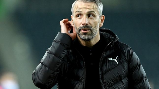 Манчестер Сити, Боруссия Менхенгладбах