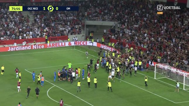 Матч «Ниццы» и «Марселя» прерван из-за драки футболистов с болельщиками