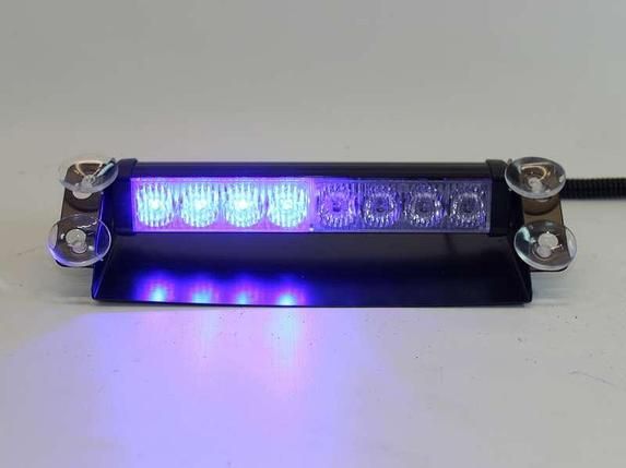 ФК Спартак Москва, Футбольные фанаты