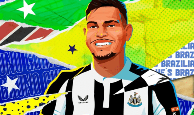 Ньюкасл, Английская Премьер-Лига (АПЛ)