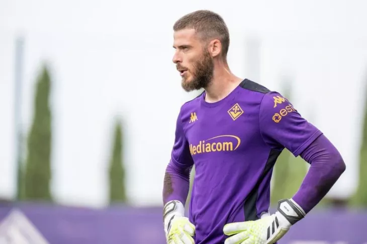 Фиорентина, Давид Де Хеа