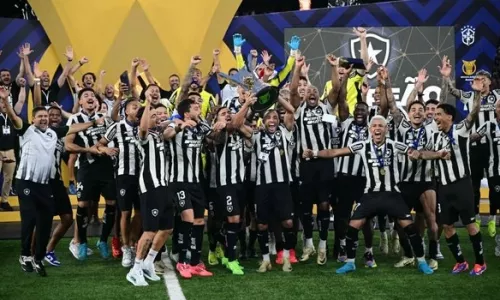 Ботафого, Чемпионат Бразилии