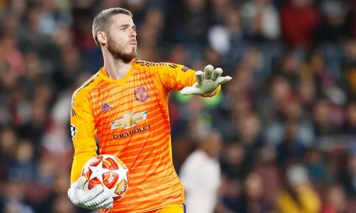 Фиорентина, Давид Де Хеа