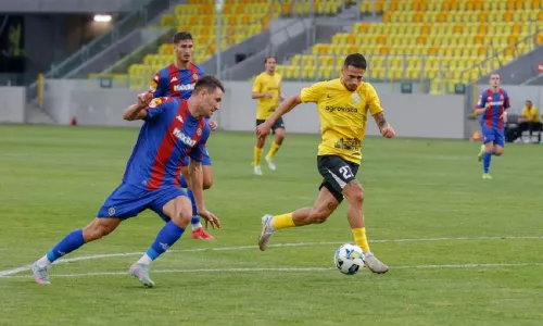 Александрия, Партизан