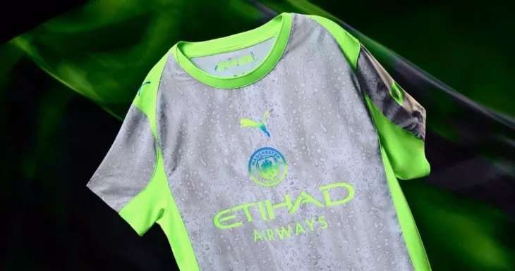 Манчестер Сити, Английская Премьер-Лига (АПЛ)