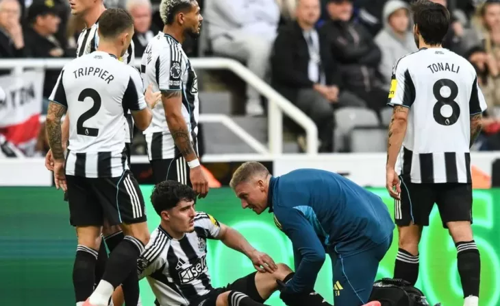 Ньюкасл, Английская Премьер-Лига (АПЛ)