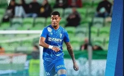 Российская Премьер-Лига (РПЛ), Бундеслига