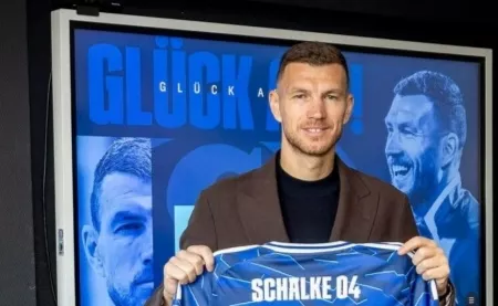 Шальке, Эдин Джеко