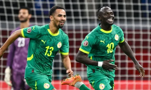 Кубок африканских наций