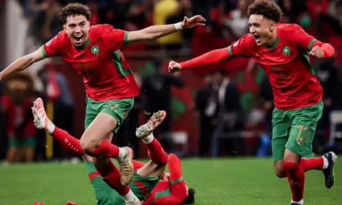 Кубок африканских наций