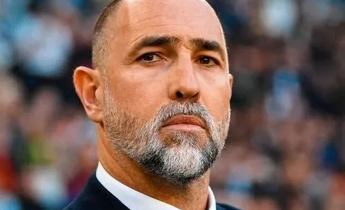 Тоттенхэм, Игор Тудор