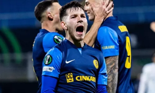 АЕК, Марко Николич