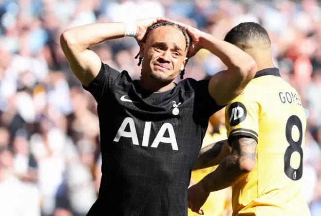 Тоттенхэм, Сборная Нидерландов